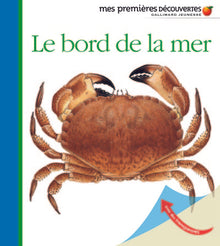 Le bord de la mer