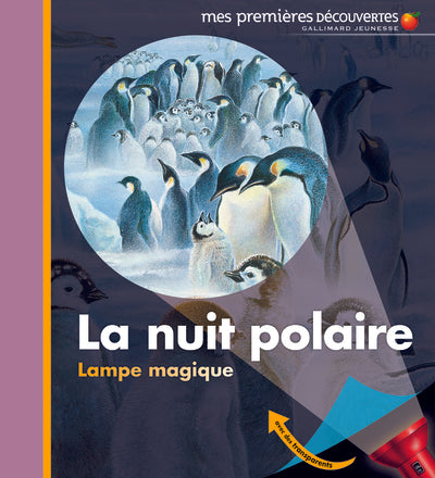 La nuit polaire