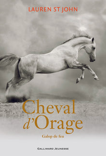 Cheval d'Orage