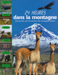 Dans la montagne une journée avec les animaux des montagnes andines