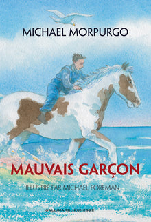 Mauvais garçon