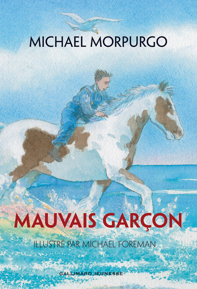 Mauvais garçon