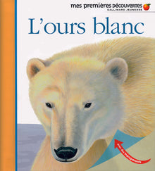 L'ours blanc