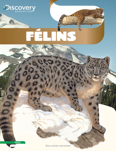 Félins