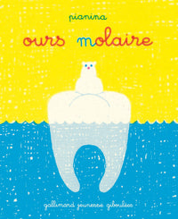 Ours molaire
