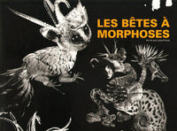 Les bêtes à morphoses - Art et soin psychique