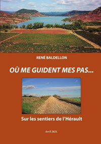 OÙ ME GUIDENT MES PAS...