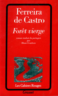 forêt vierge
