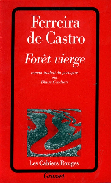 forêt vierge