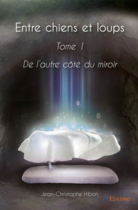 De l'autre côté du miroir - Tome 1