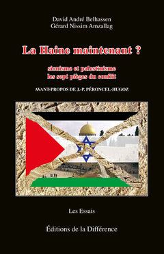 La haine maintenant ? Sionisme-palestinisme les 7 pièges du conflit