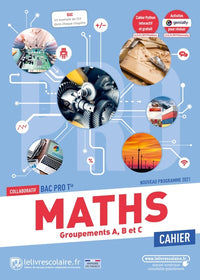 Maths Tle Bac Pro: Cahier d'activités