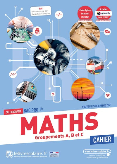 Maths Tle Bac Pro: Cahier d'activités