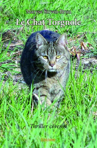 Le Chat Torgnole