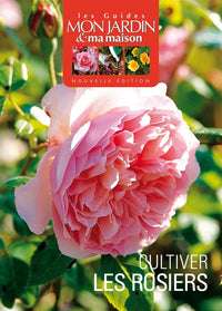 Cultiver les rosiers