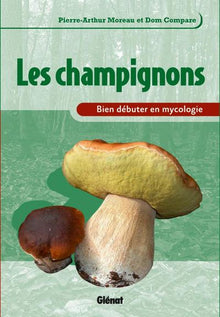 Bien débuter en mycologie