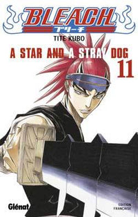 Bleach - Tome 11