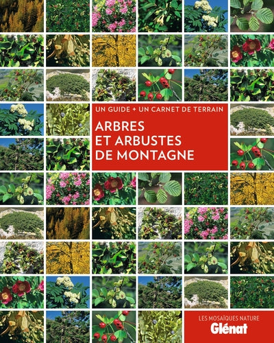 Arbres et arbustes de montagne