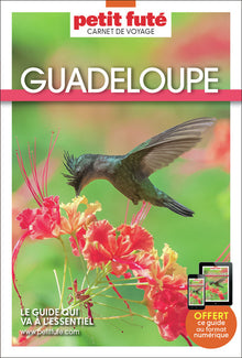 Guide Guadeloupe 2025 Carnet Petit Futé