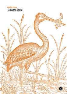 Le Butor étoilé