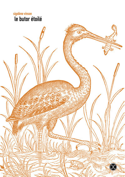 Le Butor étoilé