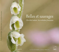 Belles et sauvages - les orchidées françaises