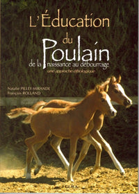 L'éducation du poulain