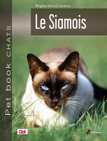 Le siamois