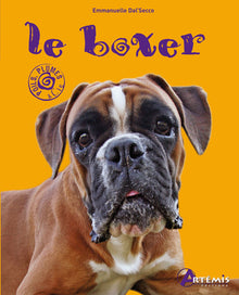 Le boxer