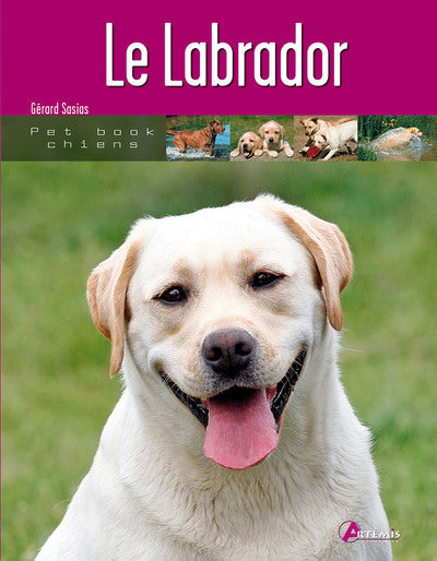 Le labrador