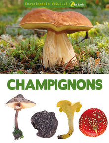 Champignons