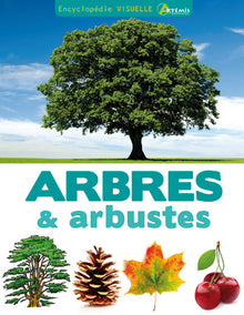 Arbres et arbustes