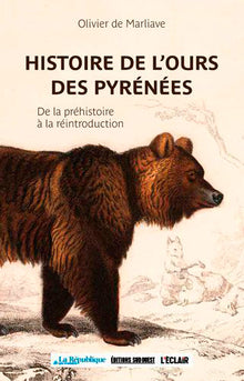 Histoire de l'ours dans les Pyrénées