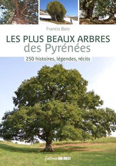 Les plus beaux arbres des Pyrénées