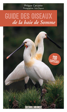 Guide des oiseaux de la Baie de Somme