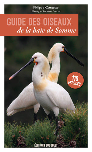 Guide des oiseaux de la Baie de Somme