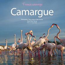 Camargue