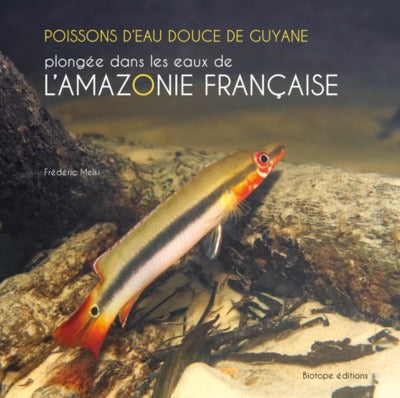 Poissons d'eau douce de Guyane - Plongée dans les eaux de l'Amazonie française
