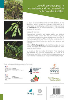 Les Fougères et plantes alliées des Antilles françaises