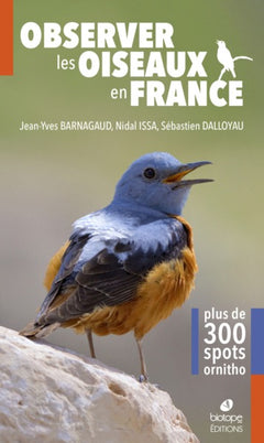 Observer les oiseaux en france