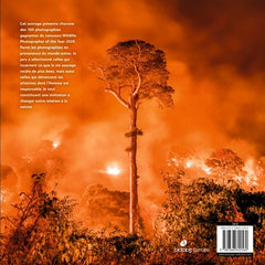 Wildlife photographer of the year 2020