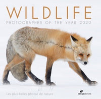 Wildlife photographer of the year 2020