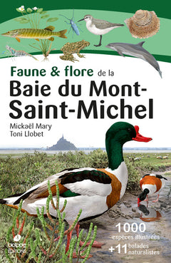 Faune & flore de la Baie du Mont Saint-Michel
