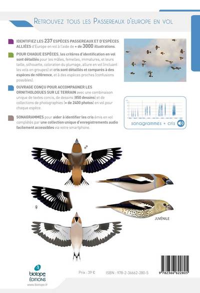 Cahier d'identification des passereaux d'Europe en vol