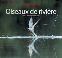 Oiseaux de rivière