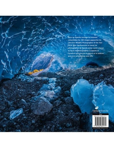 Wildlife Photographer of the year: Les plus belles photos de nature