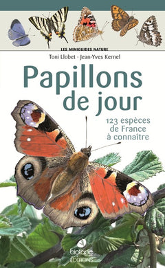 Les miniguides nature - Papillons diurnes de France: 101 espèces à connaître