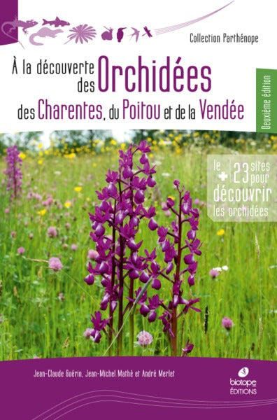 A la découverte des orchidées de Poitou-Charentes et de Vendée