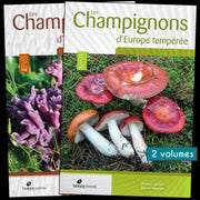 Champignons d'Europe tempérée