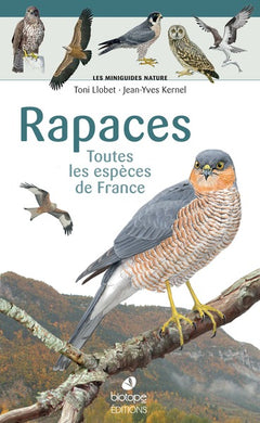 Les miniguides nature - Rapaces de France